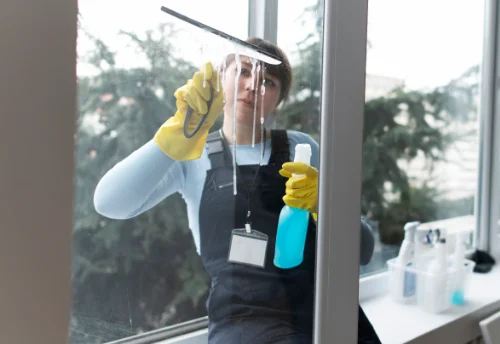 Nettoyage de vitres intérieures et extérieures à Bény